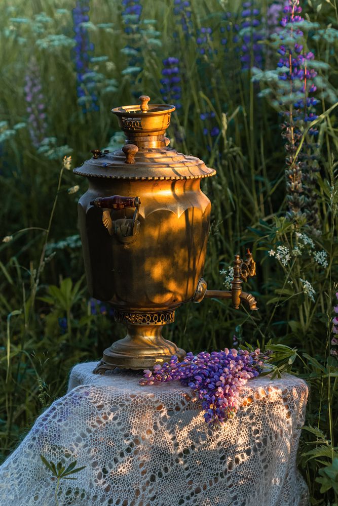 Photograph by Анна Акименко