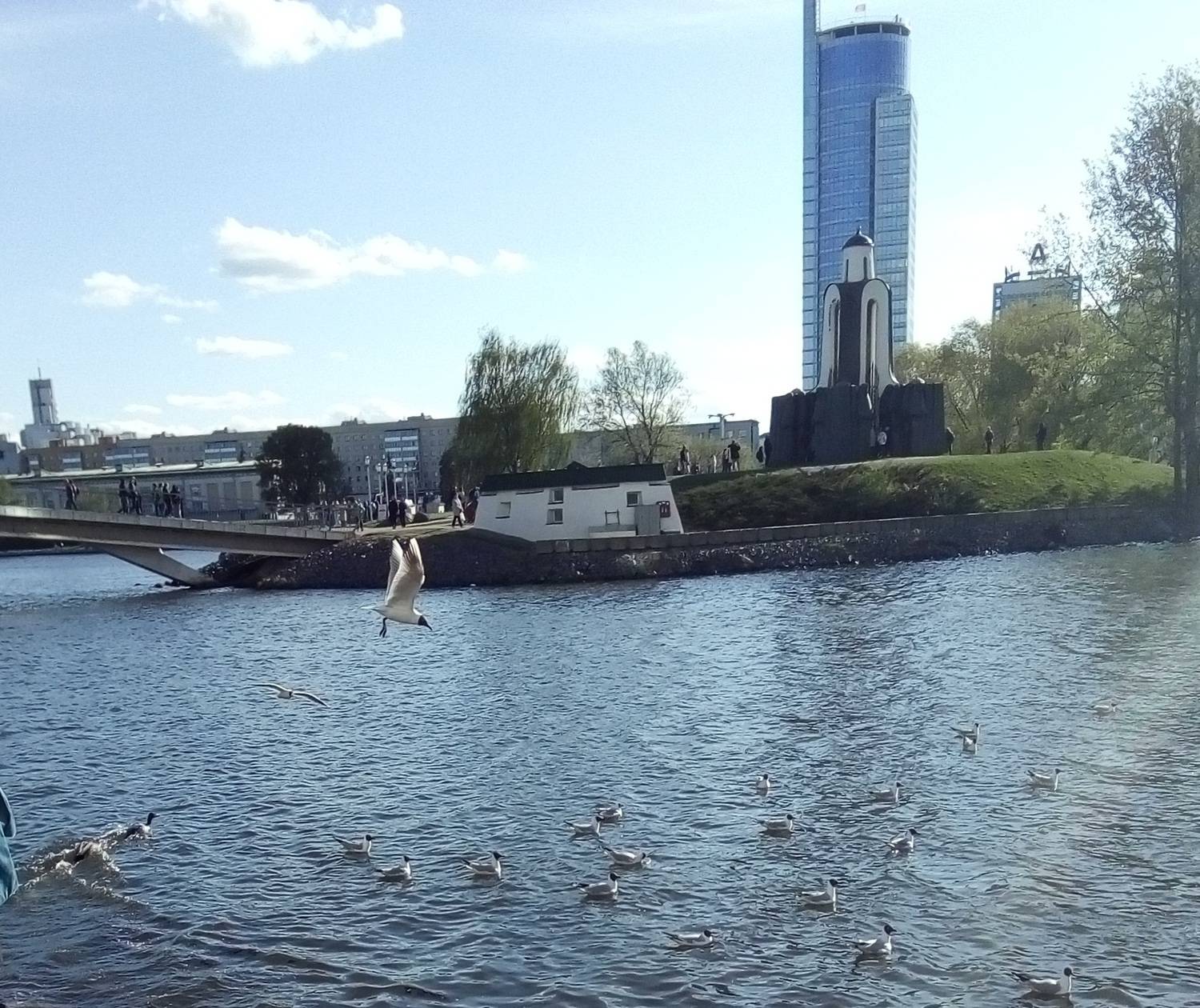Photo #13717535