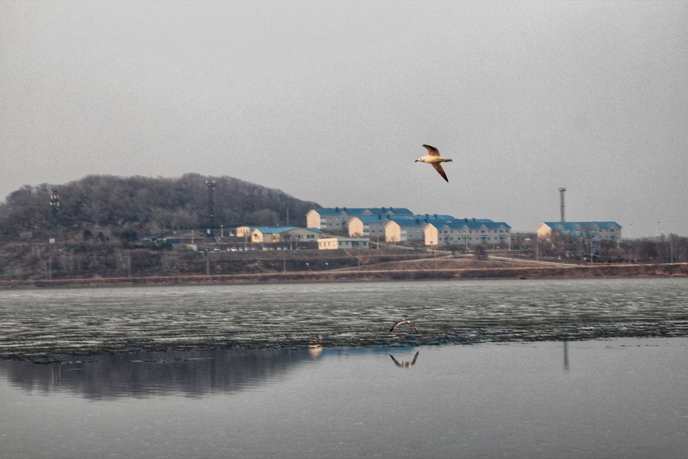 Фотография автора Вероника Жуковец
