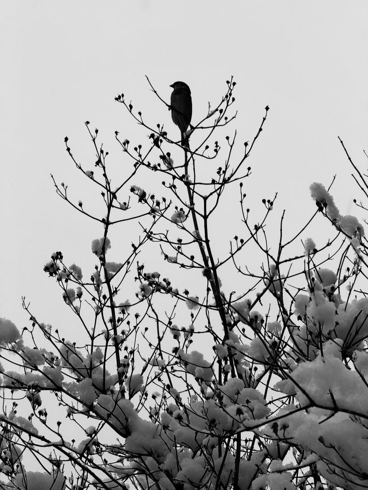 Photograph by Гордий Михаил