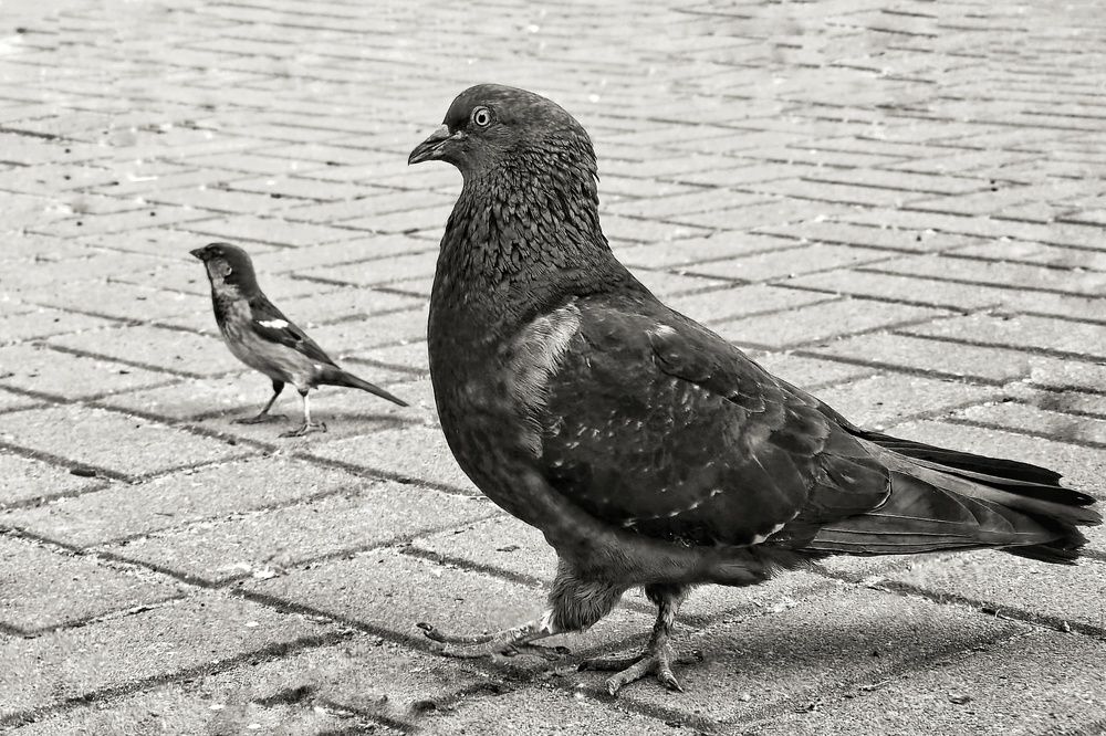 Photograph by Светлана Кустова