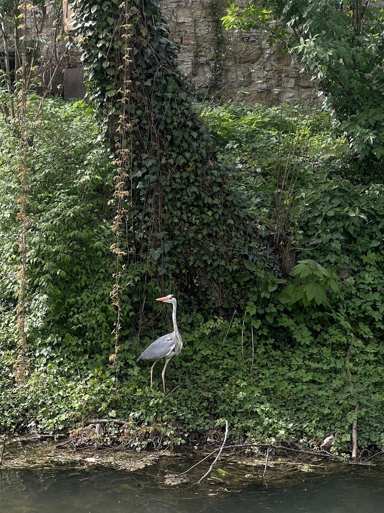 Photograph by Eugenia Schmidt