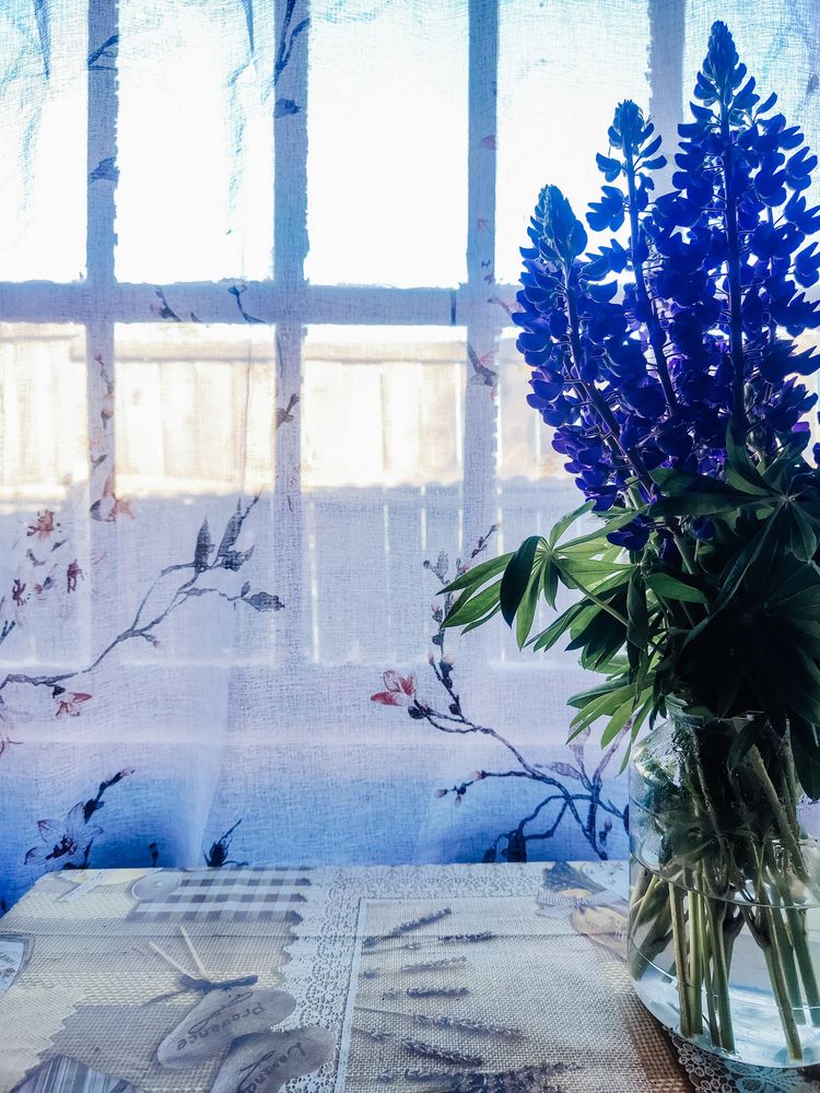 Photograph by Даша Анохина