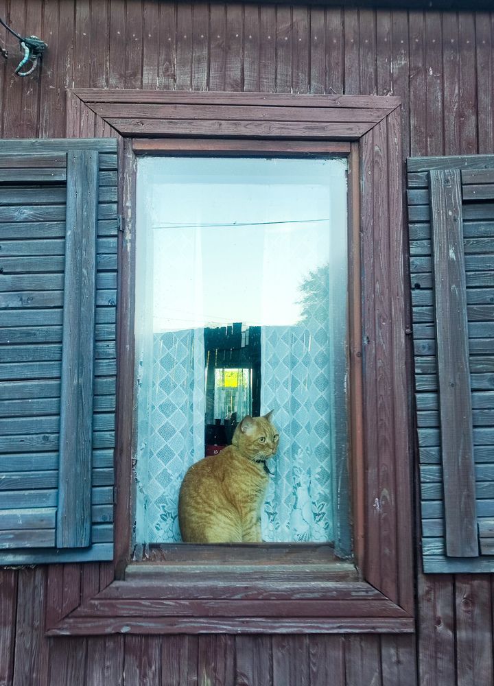 Фотография автора Даша Анохина