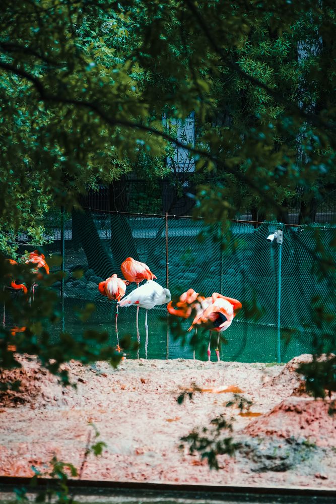 Photograph by Vladimir Bezborodov