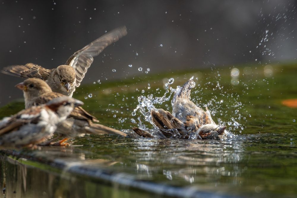 Photograph by Бурыкин Илья