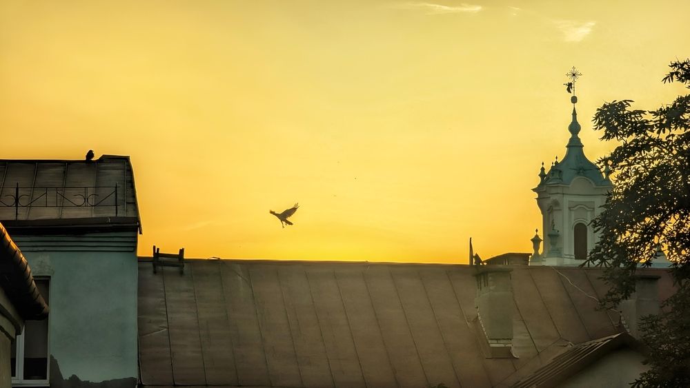 Photograph by Ирина Багдасарова