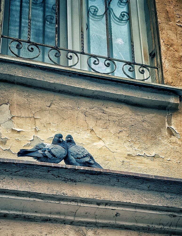 Photograph by Ирина Багдасарова