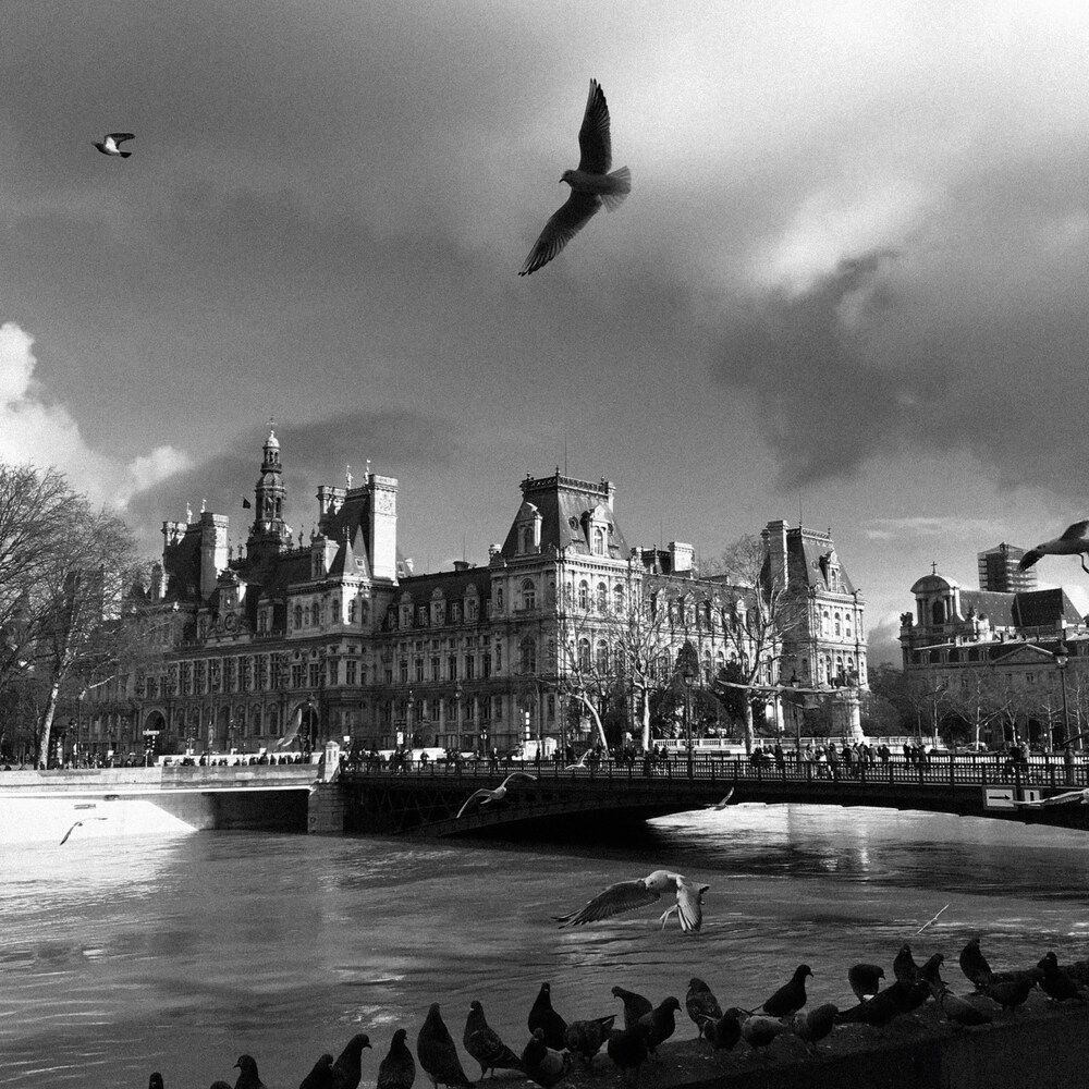 The Air of Paris