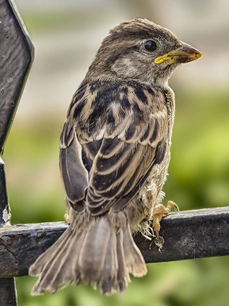 Photograph by Сергей Балашов