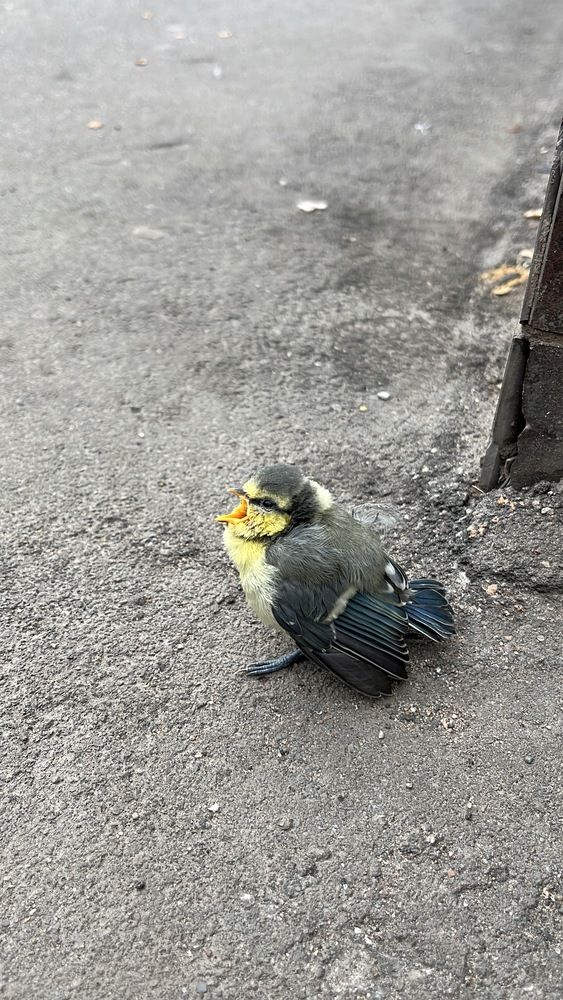 Photograph by Екатерина Сбитякова