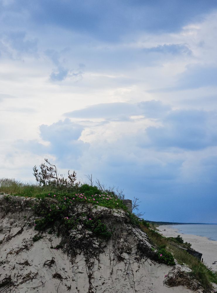 Photograph by Кристина Альшанская