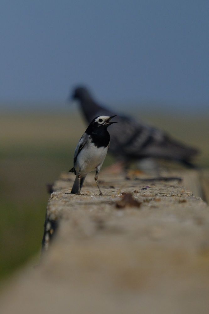 Photograph by Яна Истоцкая