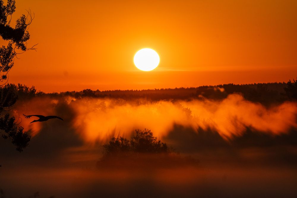 Sunrise