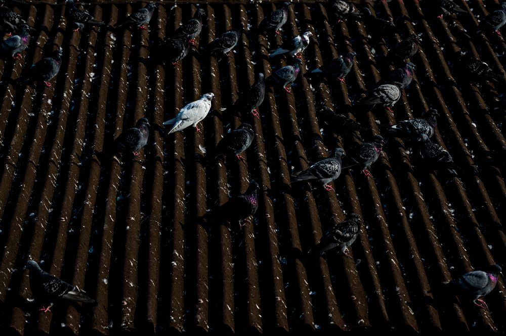 Photograph by Сергей ПЛАТОНОВ