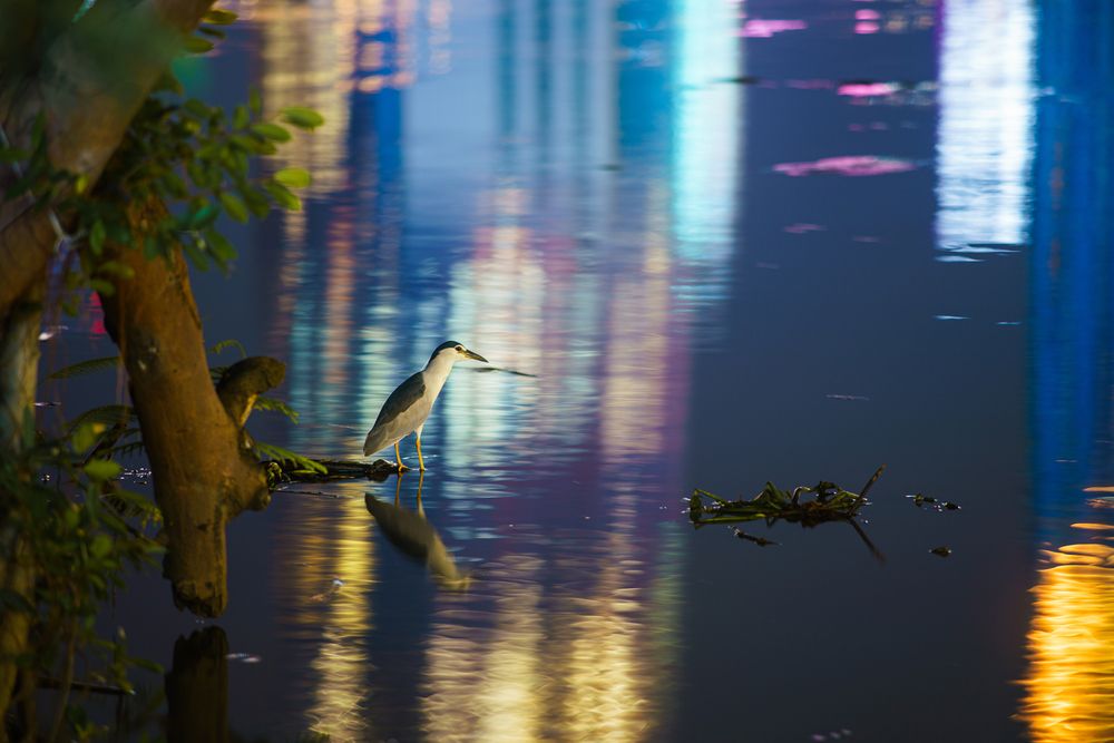 Photograph by QUANG THOI HUA