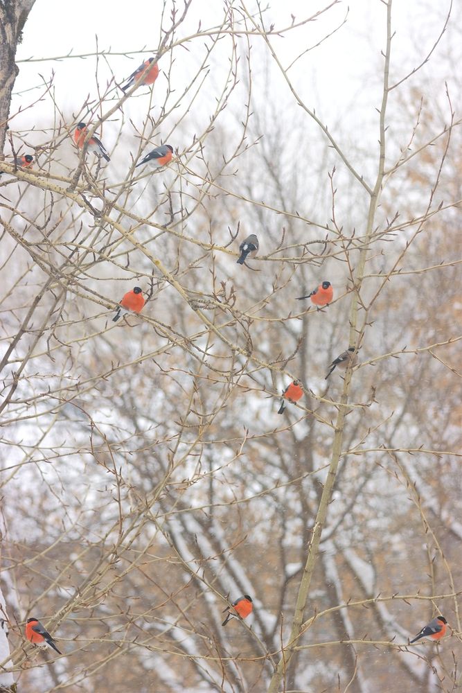Photograph by Михаил Мартюшев
