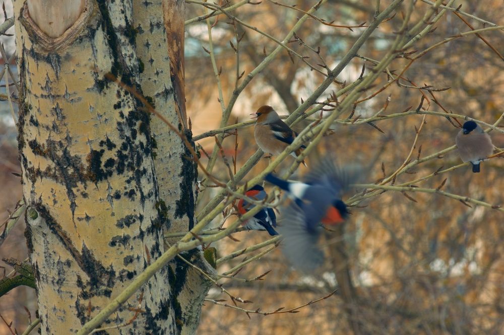 Photograph by Михаил Мартюшев