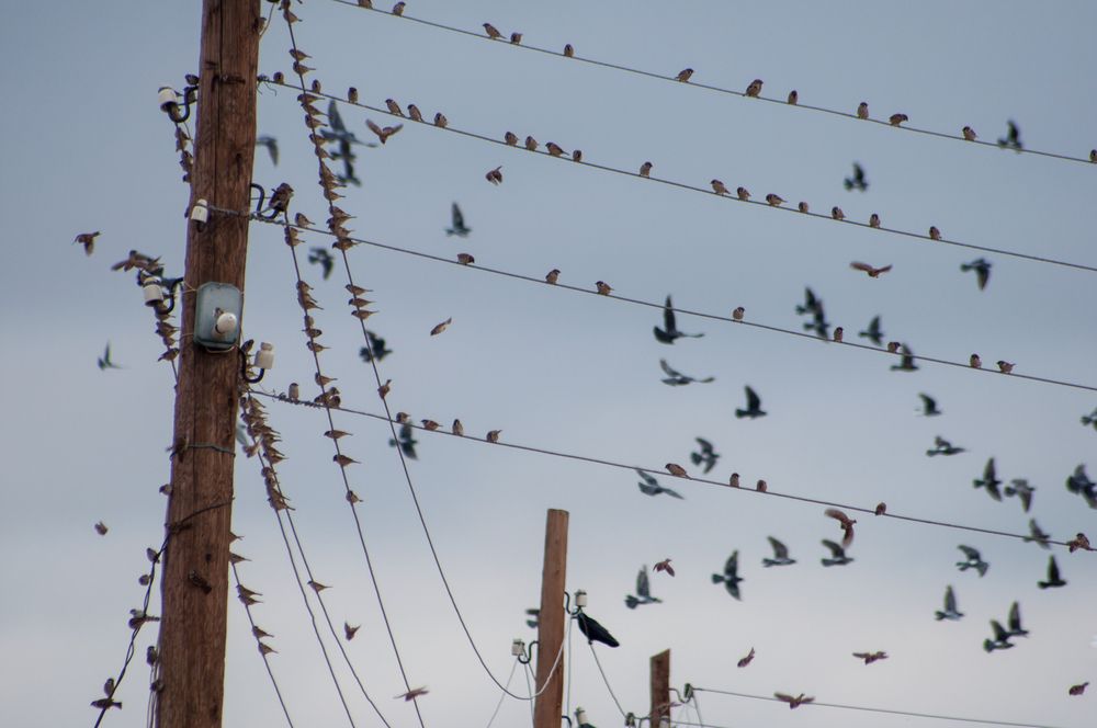 Photo #13718552