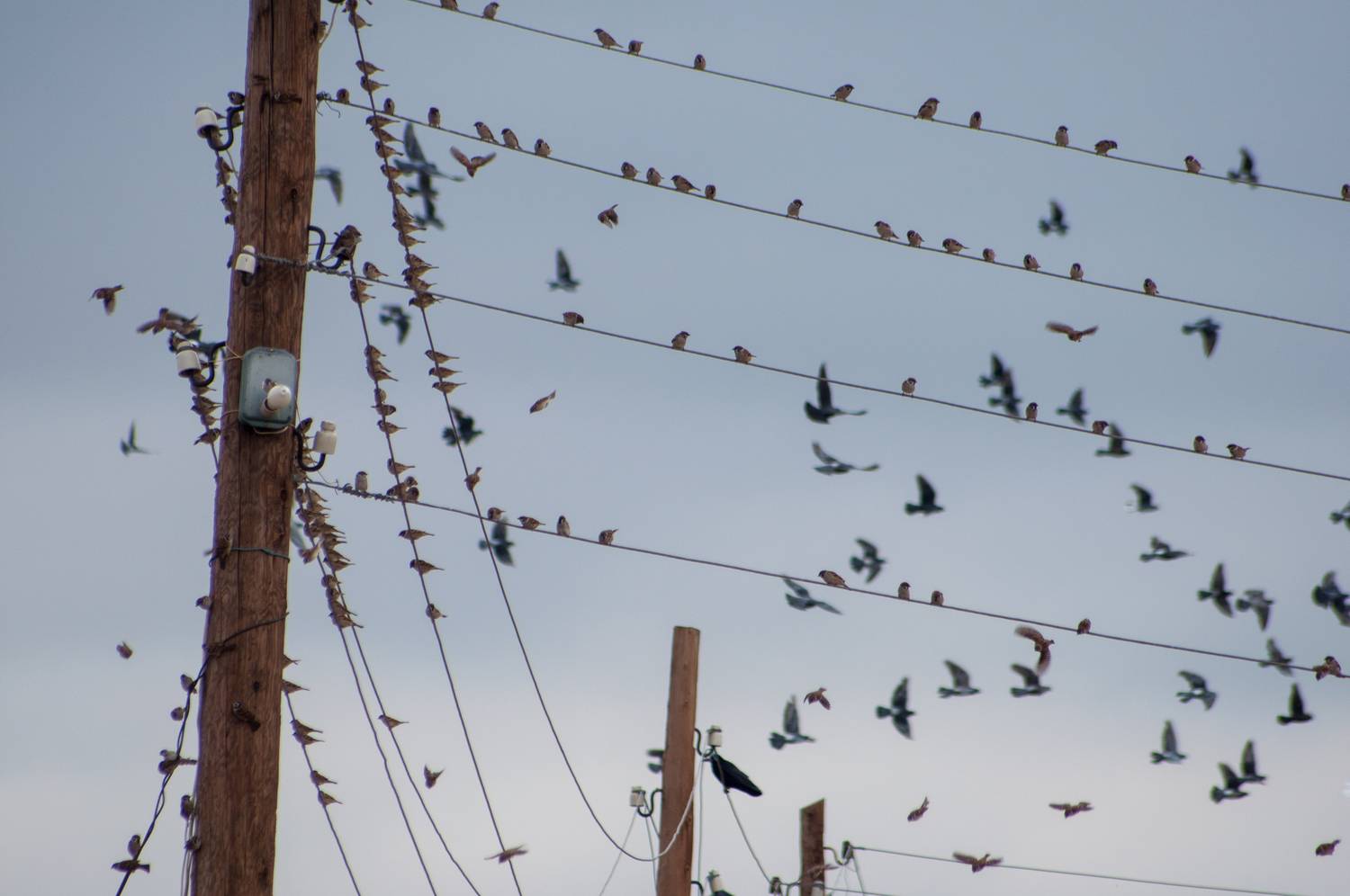 Photo #13718552