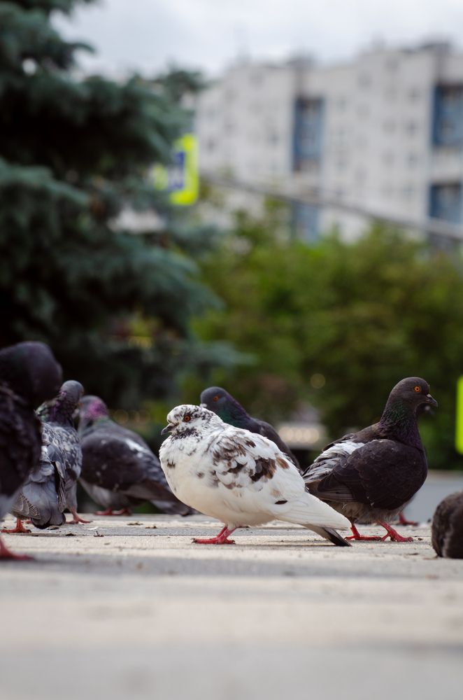 Photograph by Евгений Королев