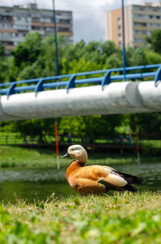 Photograph by Евгений Королев