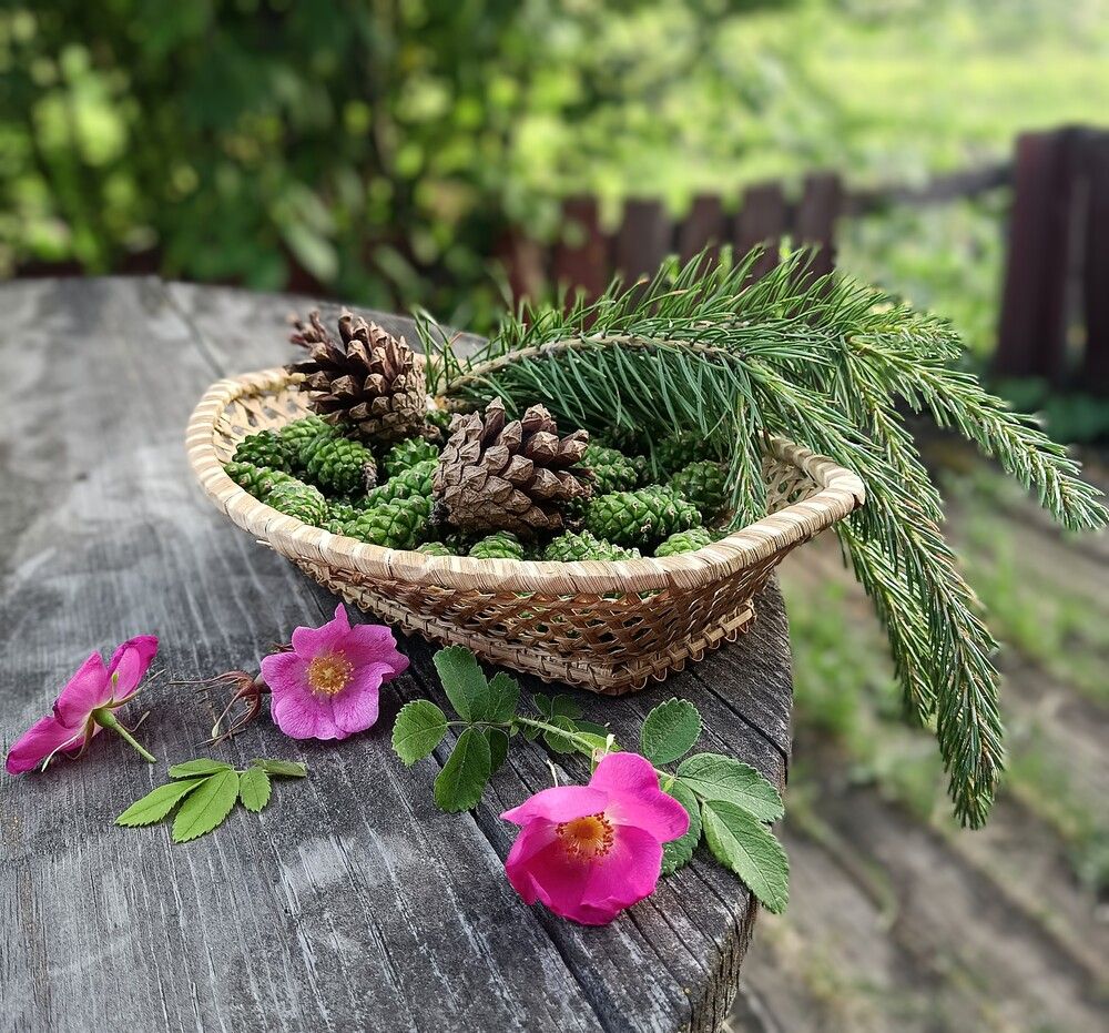 Photograph by Ирина Молоткова