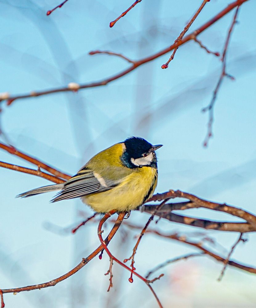 Photograph by Ксения Чемодурова
