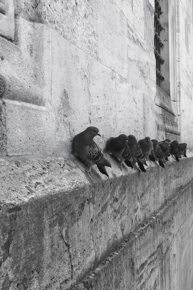 The Board Meeting