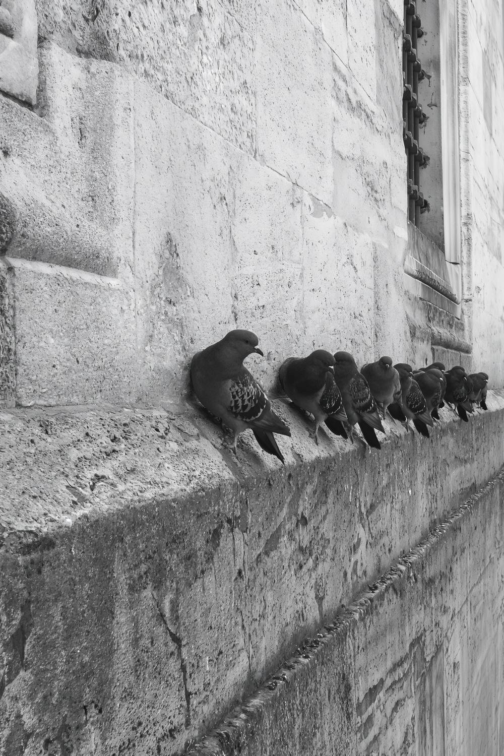 The Board Meeting