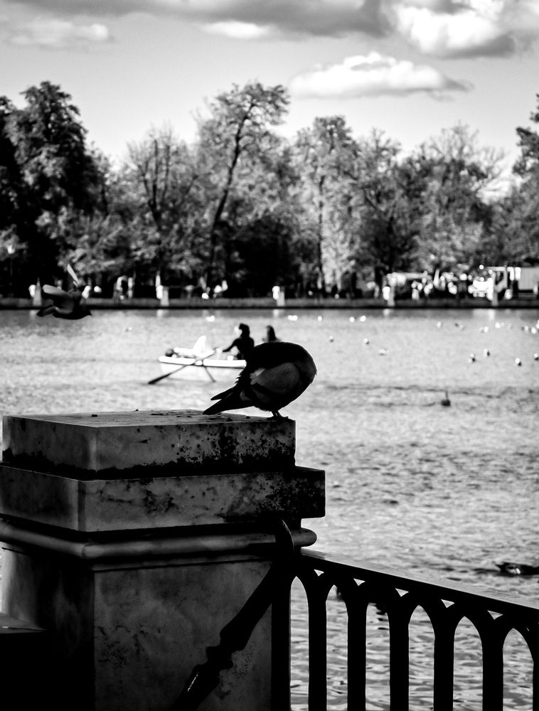Photo #13718858