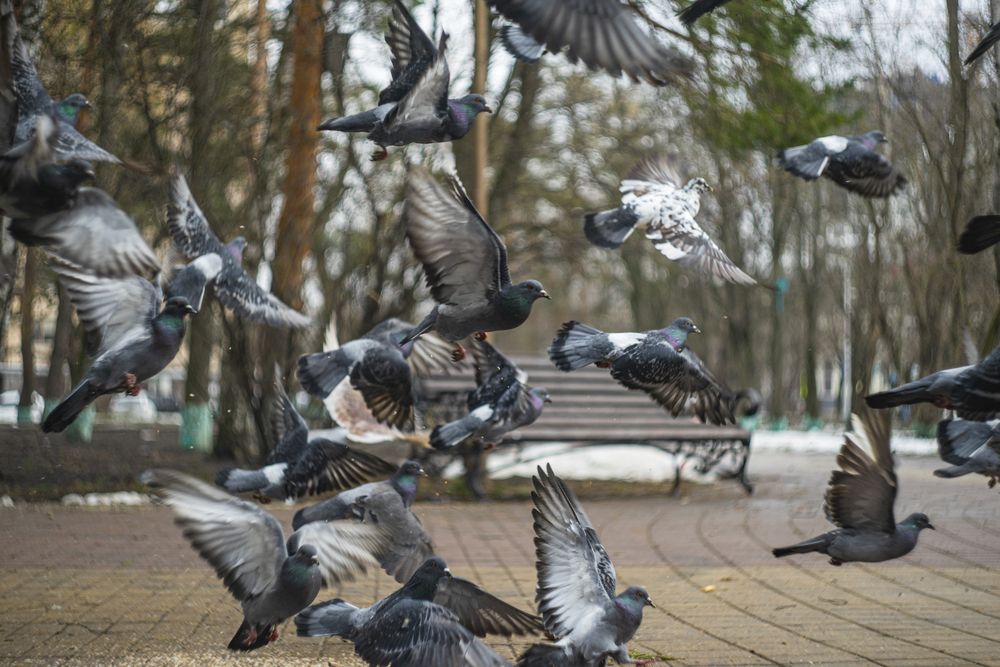 Photograph by Виктор Зотов