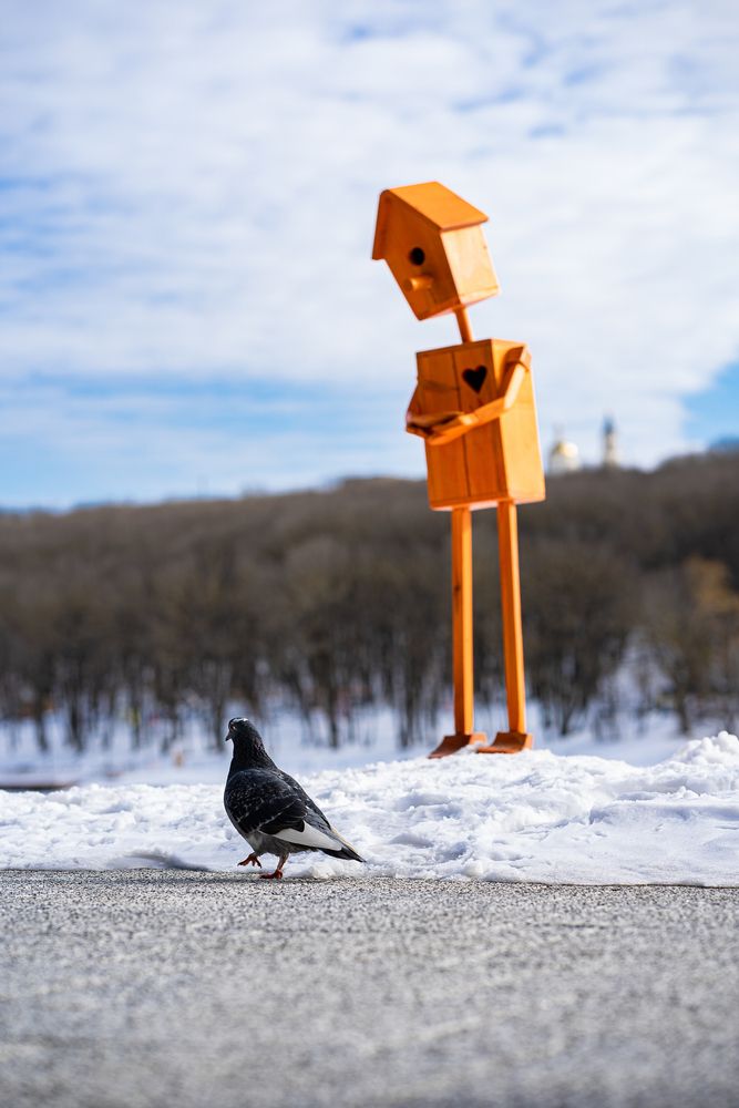 Photograph by Виктор Зотов