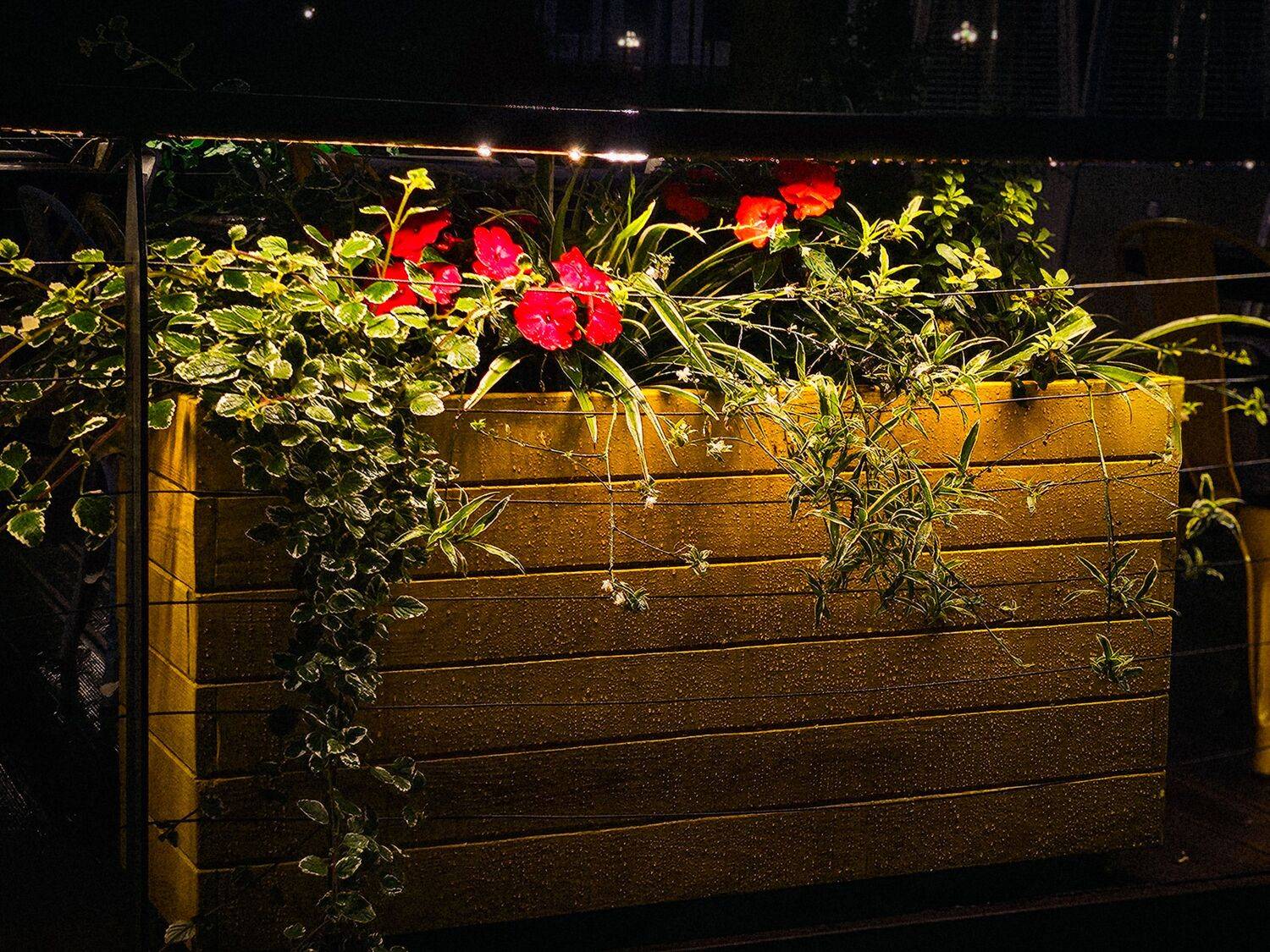 Photo #13719042