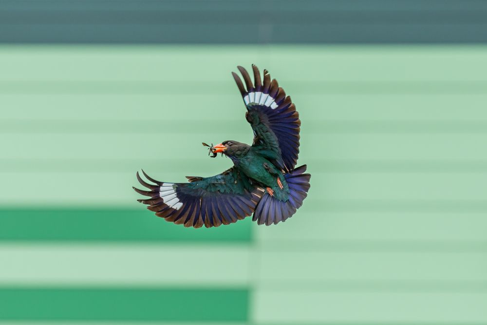 Flying over city