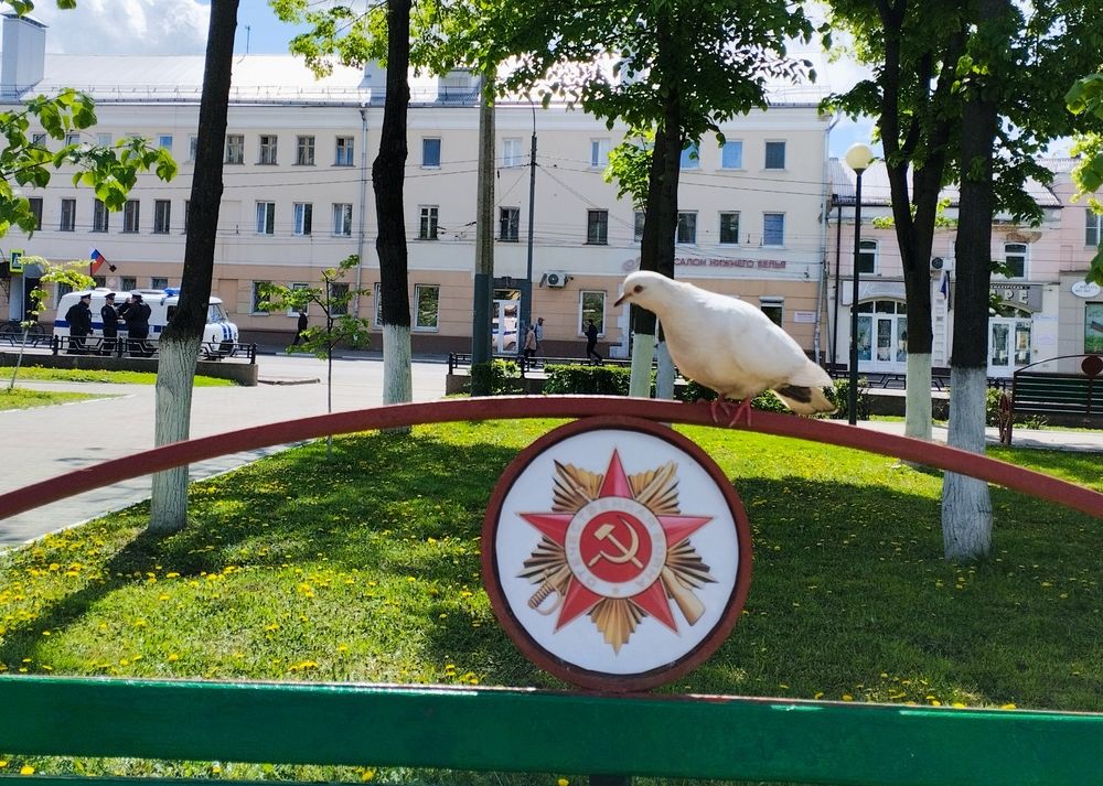 Фотография автора Надежда Болтунова