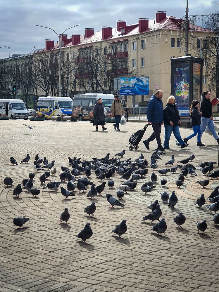 Photograph by Галина Шаститко