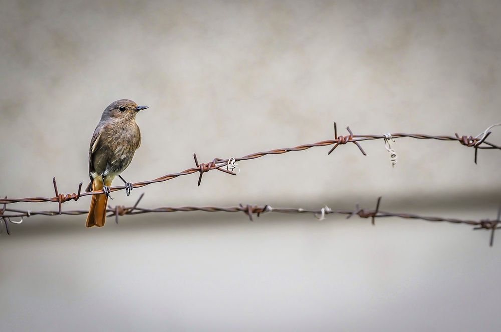 Photograph by Orsolya Eszter Nagy