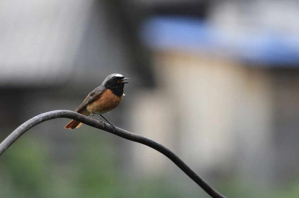 Photograph by Леунина Людмила