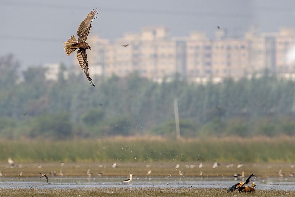 Photograph by Mukesh Tripathi