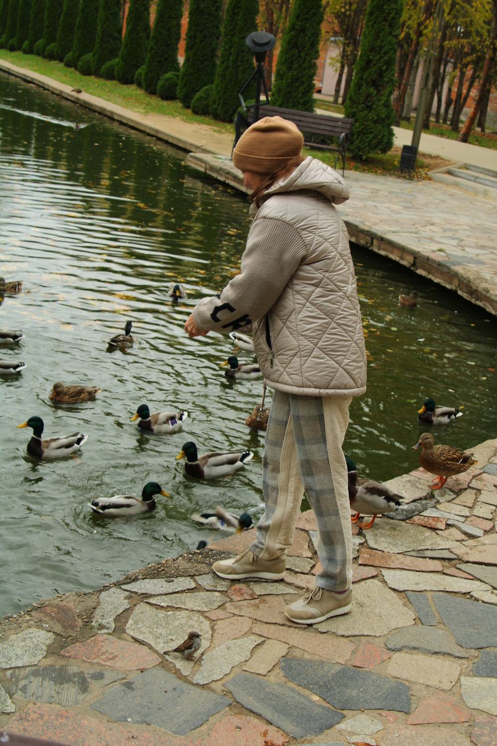 Photo #13719462