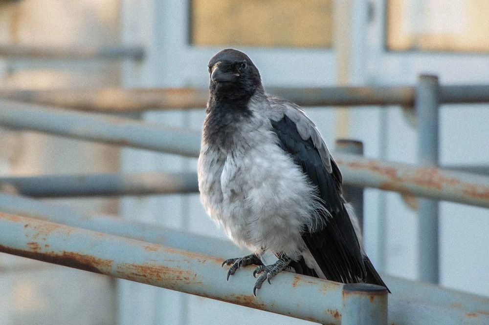 Photograph by Юрий Десятов