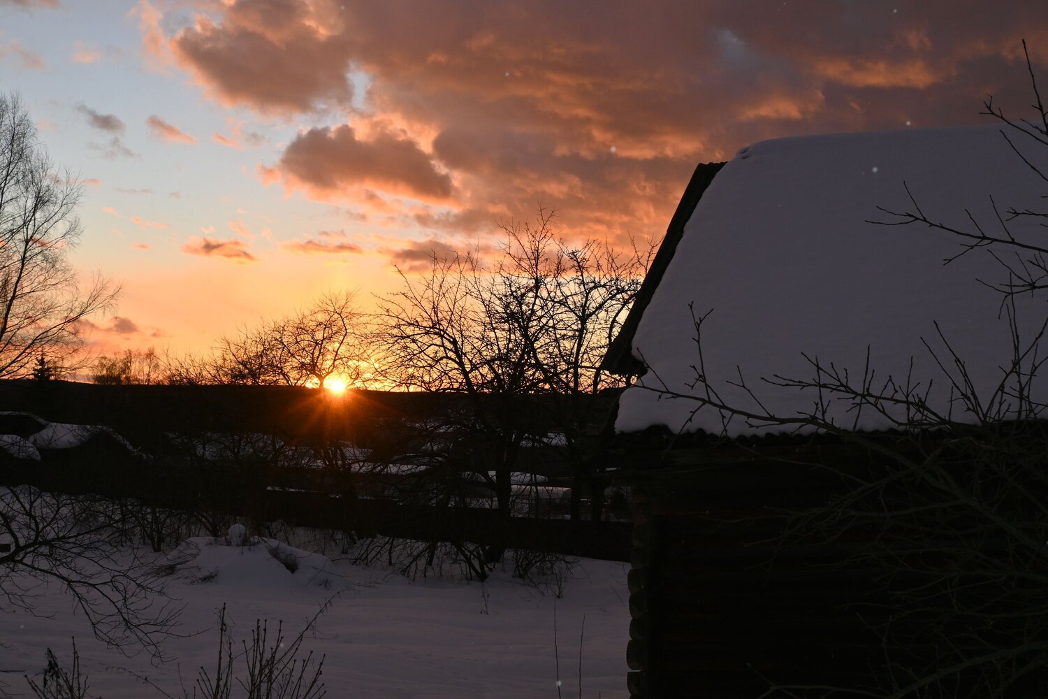Photo #13719797