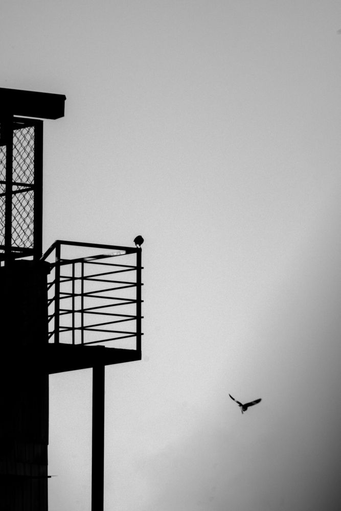 Photograph by Bùi Ngọc Hiếu