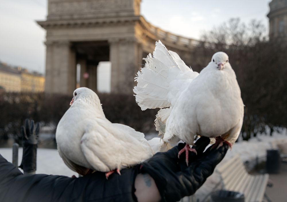 Photograph by Галина Чепиль