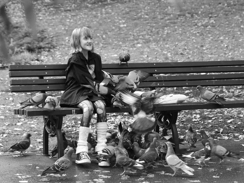 A pigeon lover