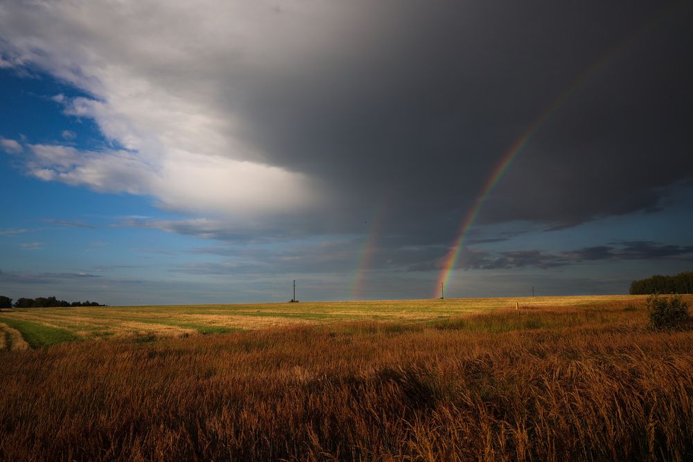 Photograph by Алексей Голубев