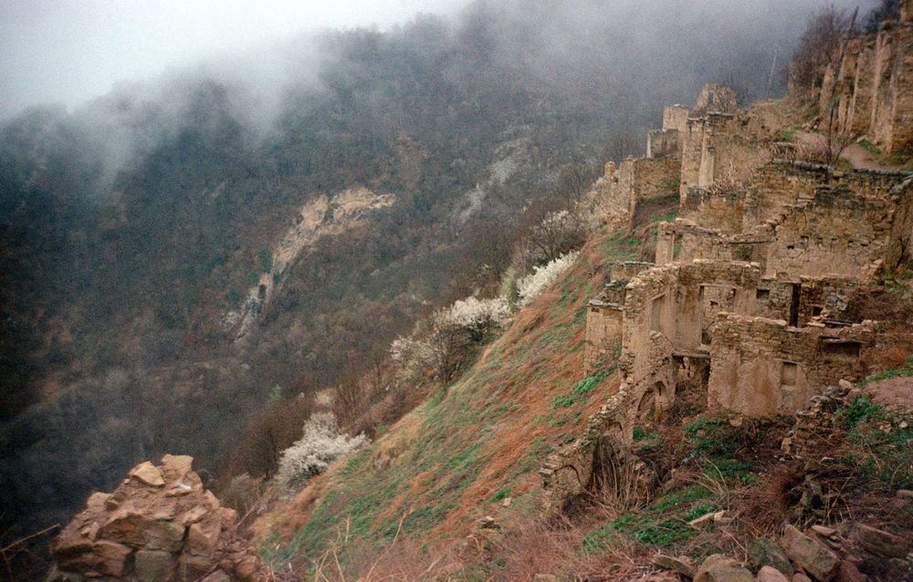 Фотография автора Регина Габдулхаева