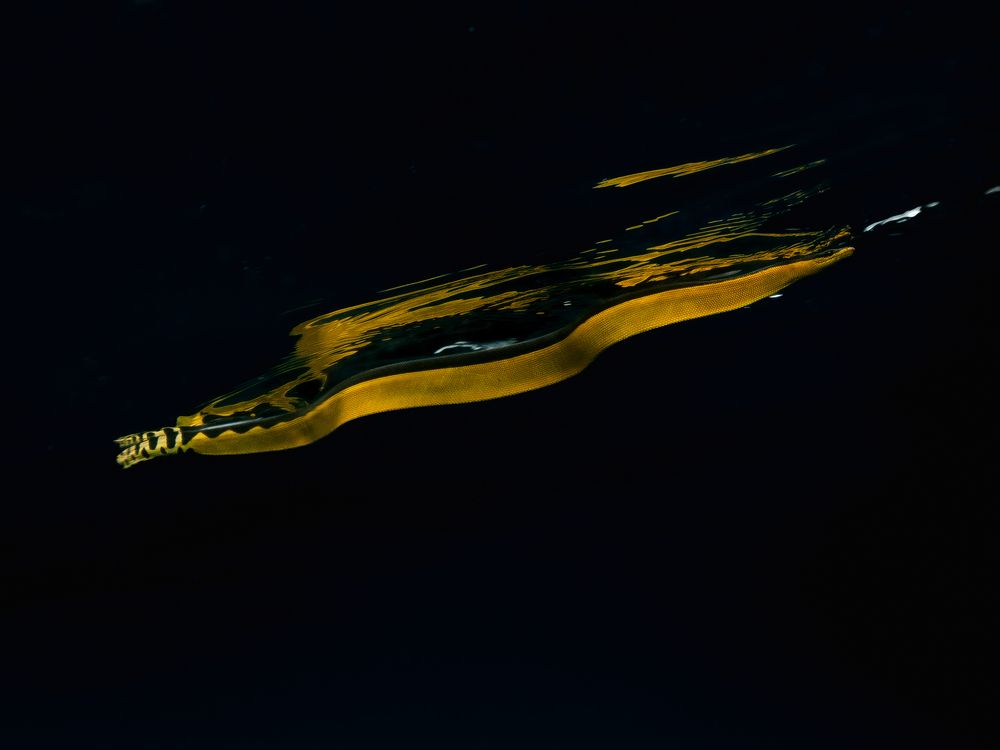 Photograph by Santiago Estrada R