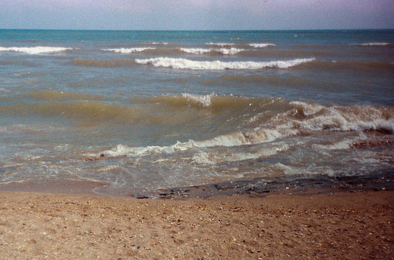 Photo #13720058